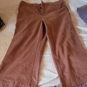 Wide-Leg Brown Pants